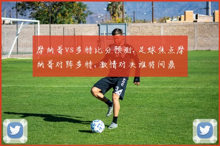 摩纳哥vs多特比分预测,足球焦点摩纳哥对阵多特,激情对决谁将问鼎